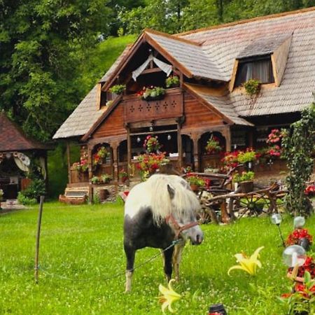 Pensiunea Rustic Oncesti Εξωτερικό φωτογραφία