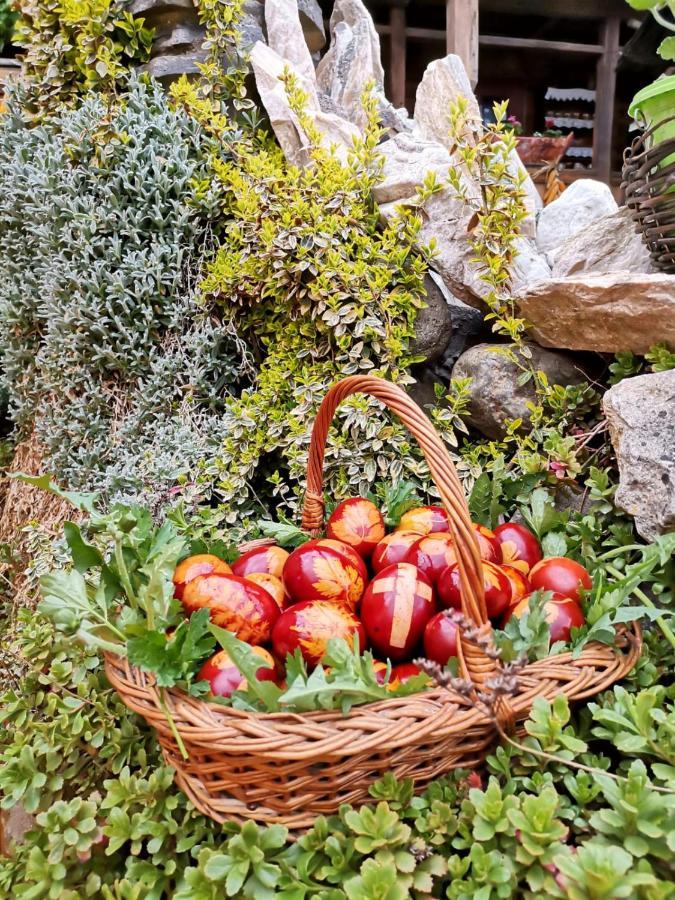 Pensiunea Rustic Oncesti Εξωτερικό φωτογραφία