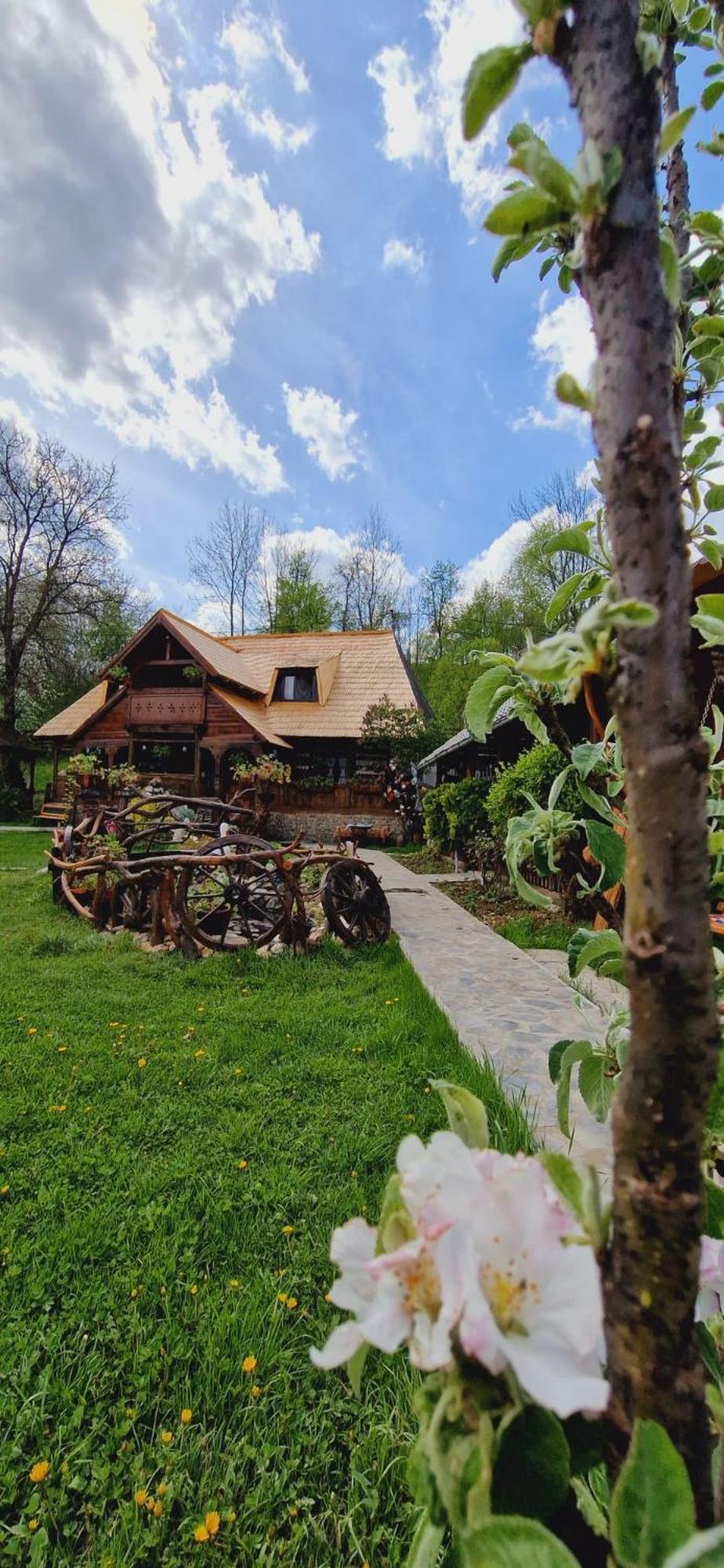 Pensiunea Rustic Oncesti Εξωτερικό φωτογραφία