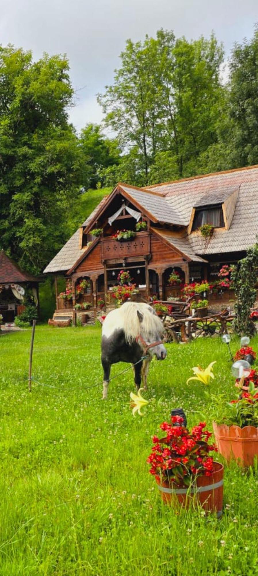 Pensiunea Rustic Oncesti Εξωτερικό φωτογραφία
