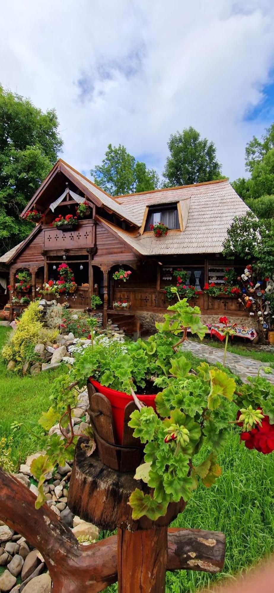Pensiunea Rustic Oncesti Εξωτερικό φωτογραφία