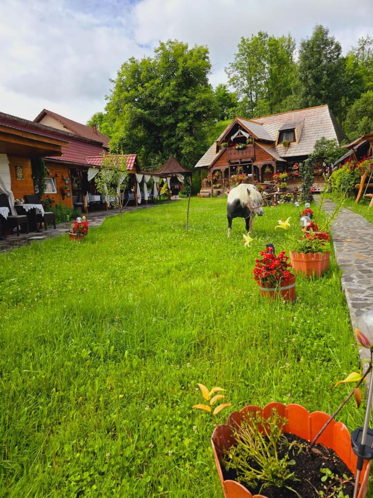 Pensiunea Rustic Oncesti Εξωτερικό φωτογραφία